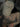 OVERWRITTEN CAP